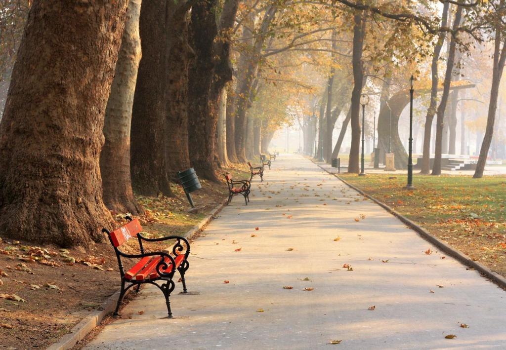 Bohemian Quarter / City Park, Free Parking Apartman Szkopje Kültér fotó